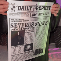 Daily Newspaper8