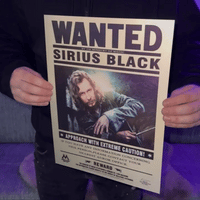 Wanted3