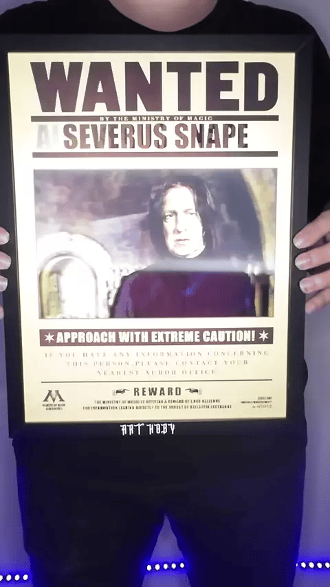 Harry Potter Wanted Karakterler Lenticular Tablo